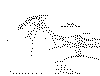 DB.gif (49575 bytes)